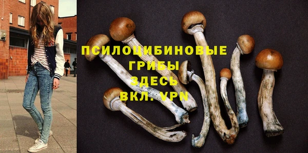 ГАЛЛЮЦИНОГЕННЫЕ ГРИБЫ Майский