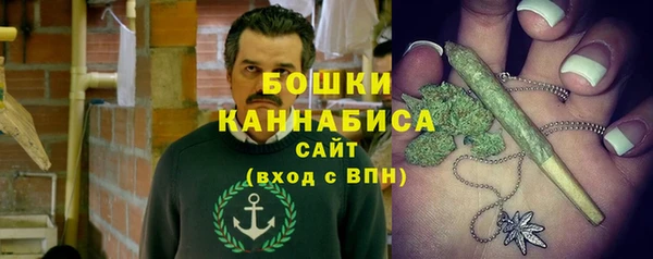 ГАЛЛЮЦИНОГЕННЫЕ ГРИБЫ Майский